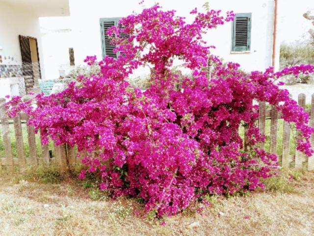 Casa Serradei Torchiarolo Ngoại thất bức ảnh